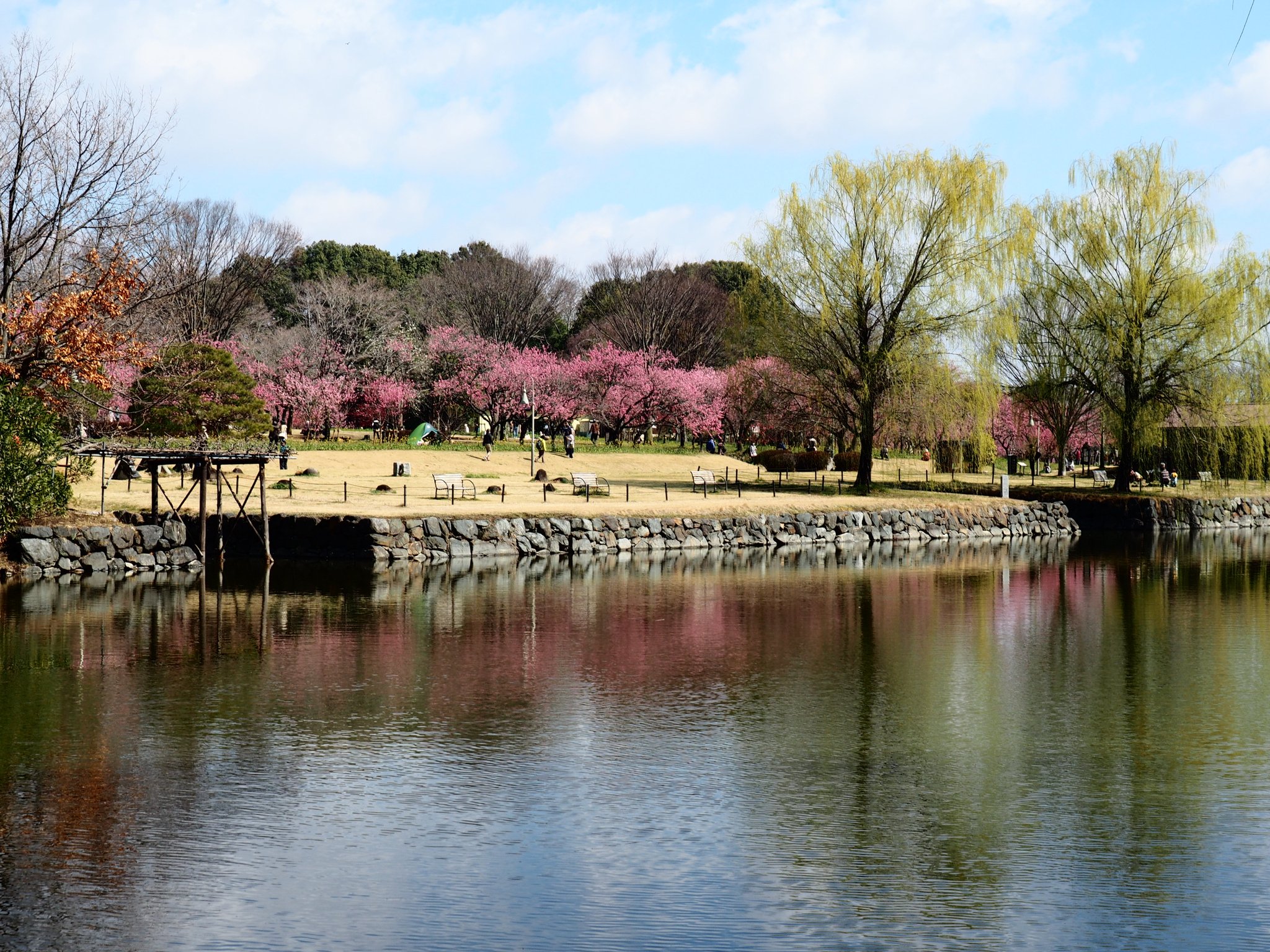 古河総合公園 Twitter Search Twitter
