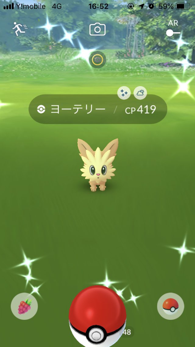 オムナイトの巣