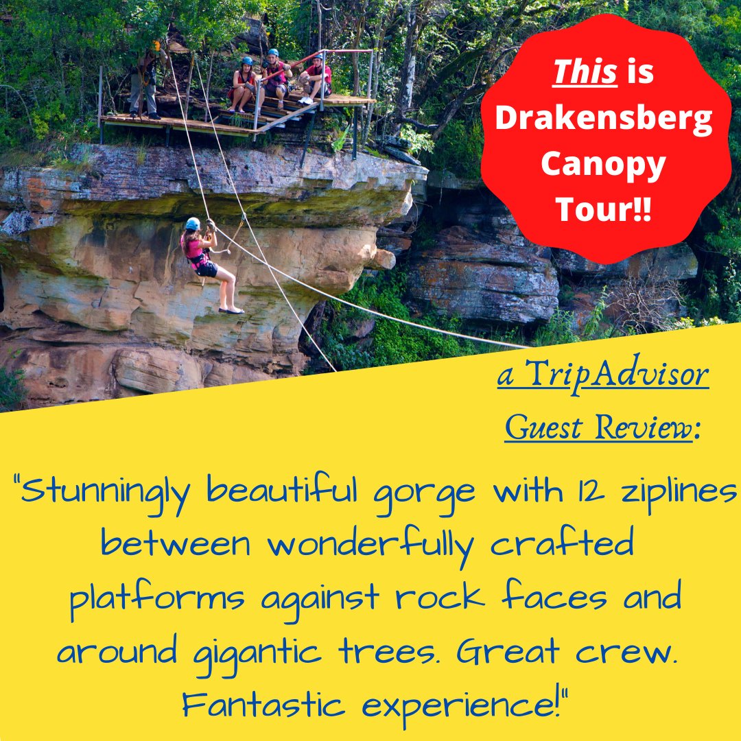 To make your booking: 036 468 1981 or info@drakensbergcanopytour.co.za