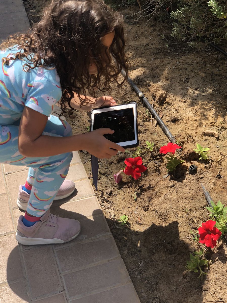 Suneh's tweet photo. Flower hunt in the compound with my Angie #InThisTogether#mydubai https://t.co/NGMiHXD3ib