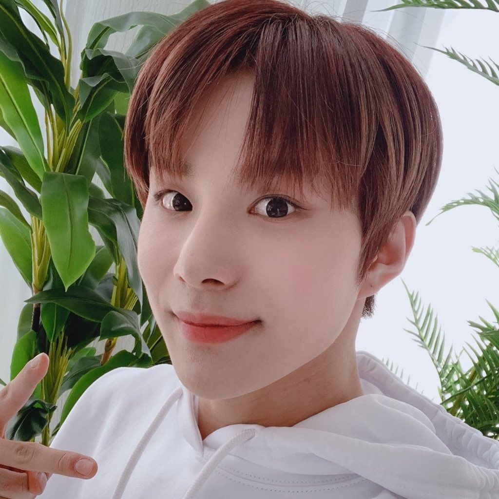 foodienct's tweet photo. จอนตอรี่ไม่มีงานทำ ส่วนฉันทำงานตลอดไป

#정우 #JUNGWOO #จองอู https://t.co/KtFsNr3KaR