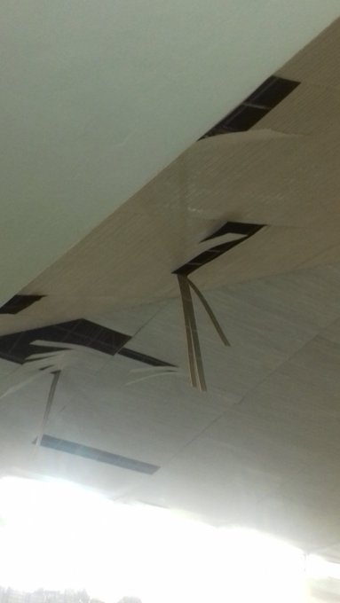 View image on Twitter