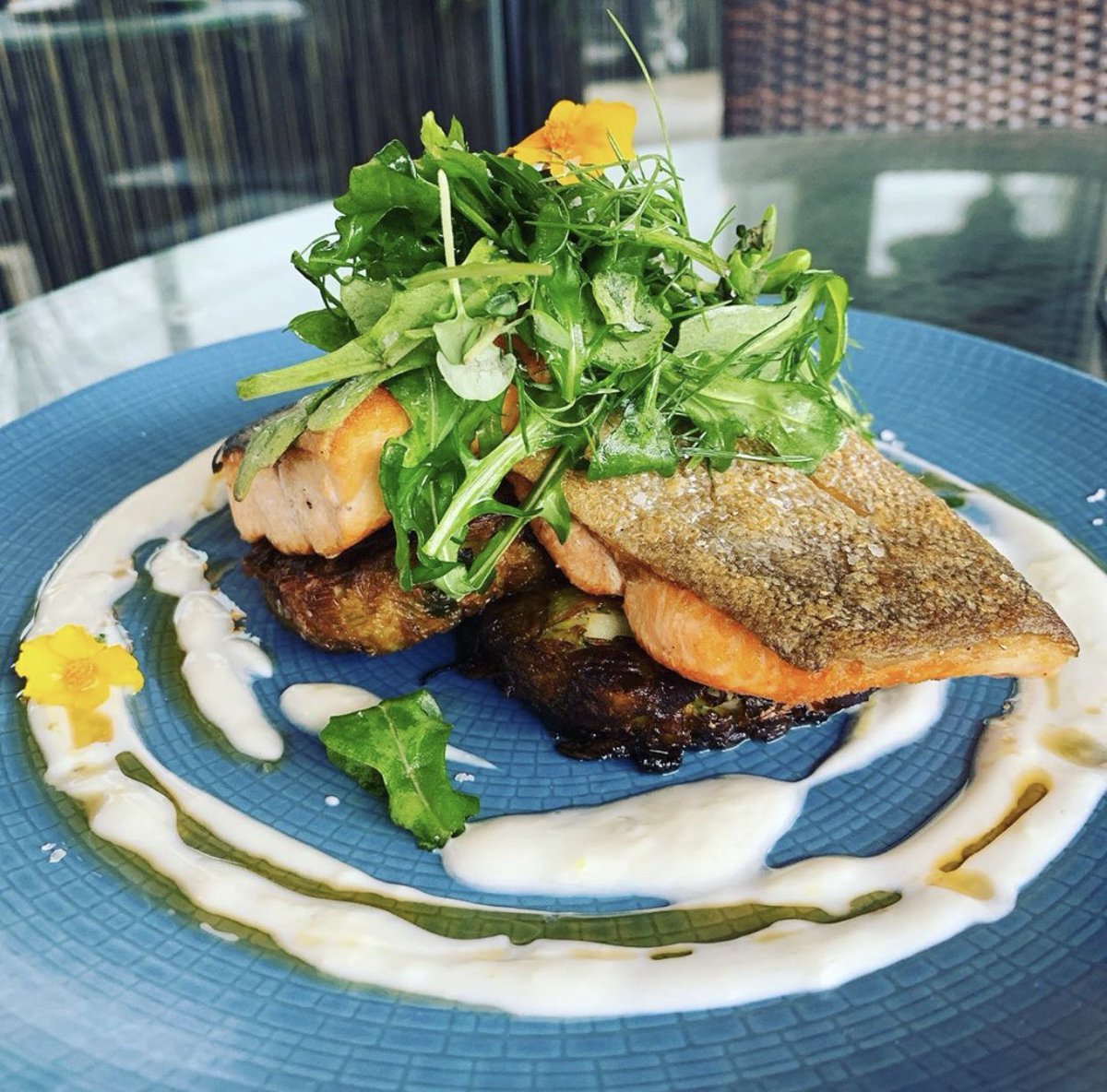 Blue Moon Acres tweet media