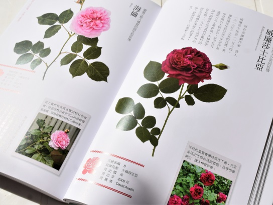 バラの本 Twitter Search Twitter