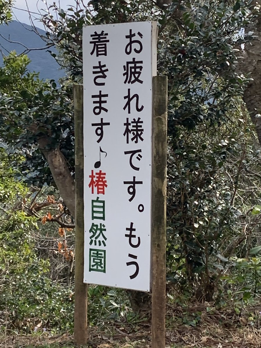椿も海も綺麗だった 椿自然園 T Co Ebw0vpocki Twitter 椿も海も綺麗だった 椿自然園 T Co Ebw0vpocki Twitter
