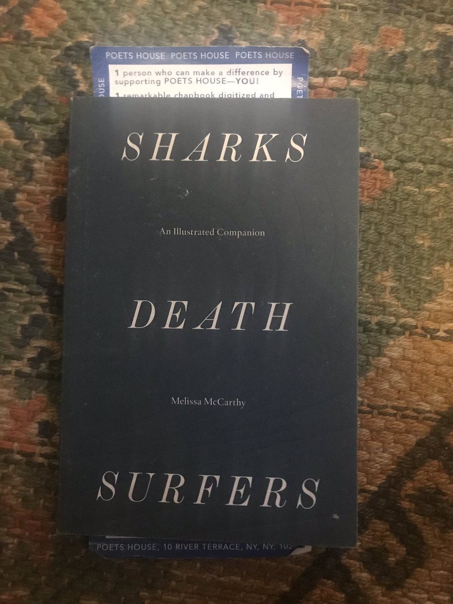 It’s about Sharks. And death. And surfers. And how they all intertwine and mingle in the mind, what it means to inhabit the inbetween place, the surface of the water, not able to see what lurks below. Incredible.