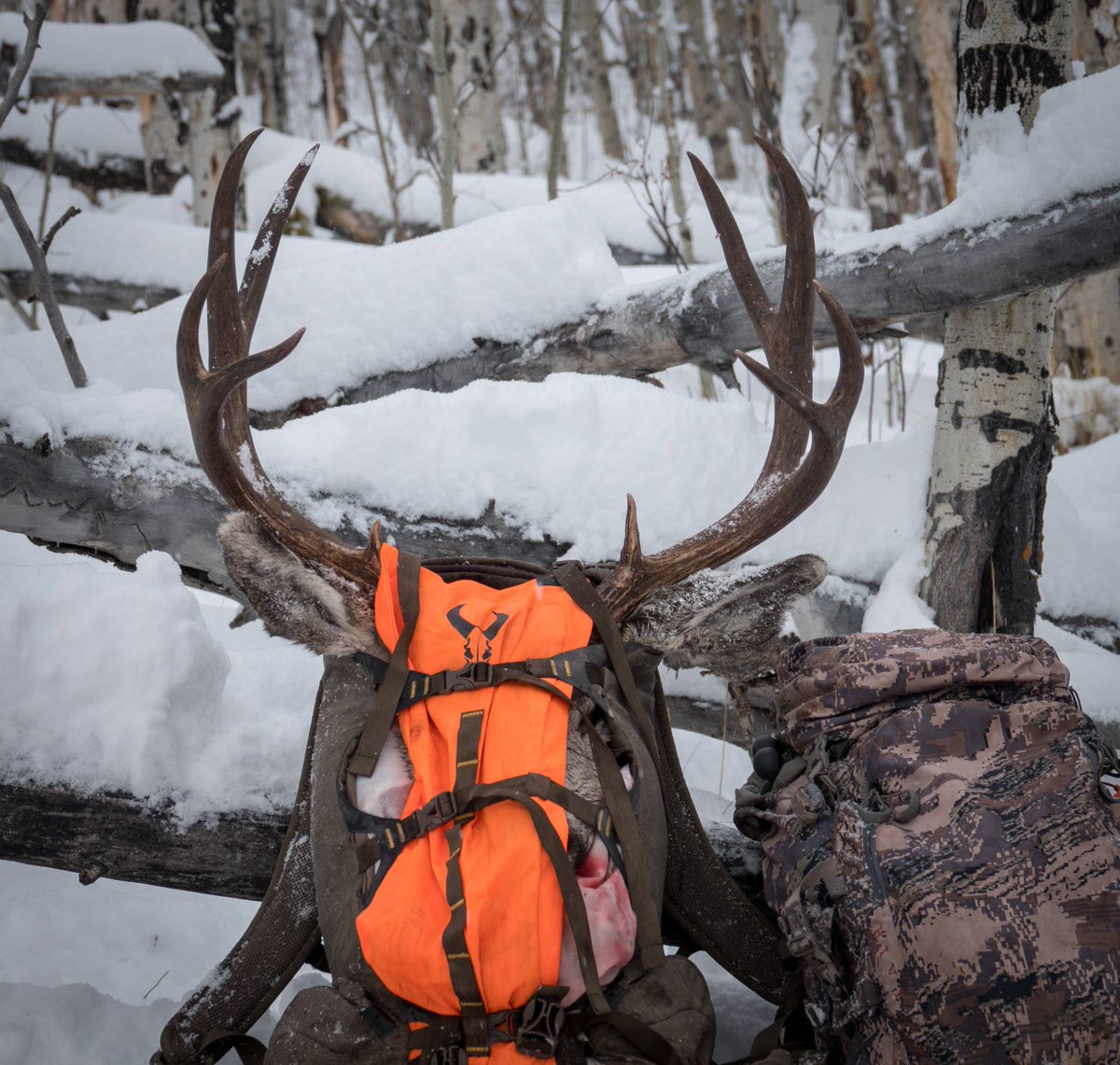 huntavid's tweet image. These conditions weren't necessarily packout friendly...But then again would the adventure be as epic without a little adversity? #deerhunting
