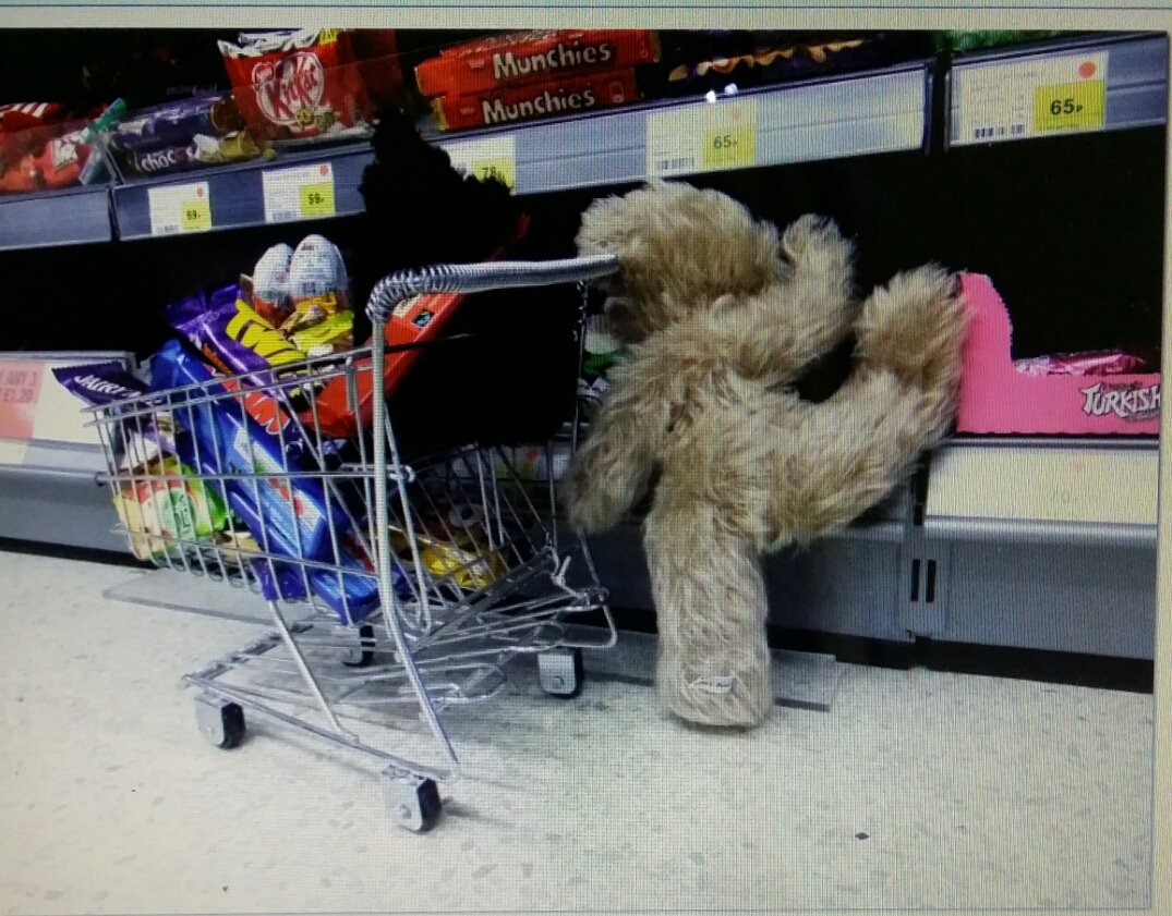 The new virus, FOGWO, reached pandemic status as bears caught in the Co-op, raiding shelves for essentials. (Fear of going without)