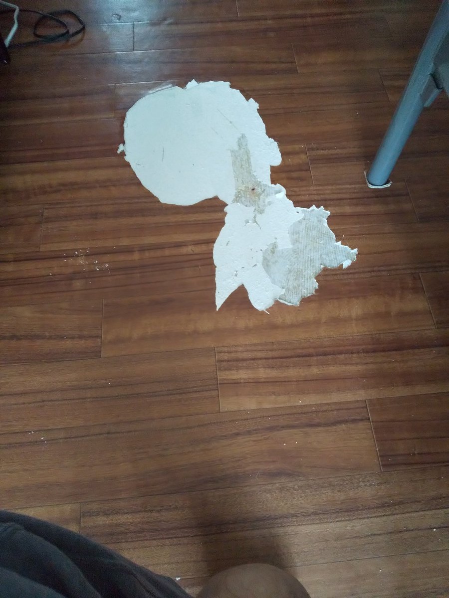 Kasaimasatugu 実は昨夜私が飲んだくれている時に事件が起きました まいった 取り敢えず床は余った材料が少し残っていたので 応急処置 壁紙はまた後で えいきち 保護犬 保護犬を家族に 雑種犬 Mix犬 留守番 いたずら T Co Rulvha0ite