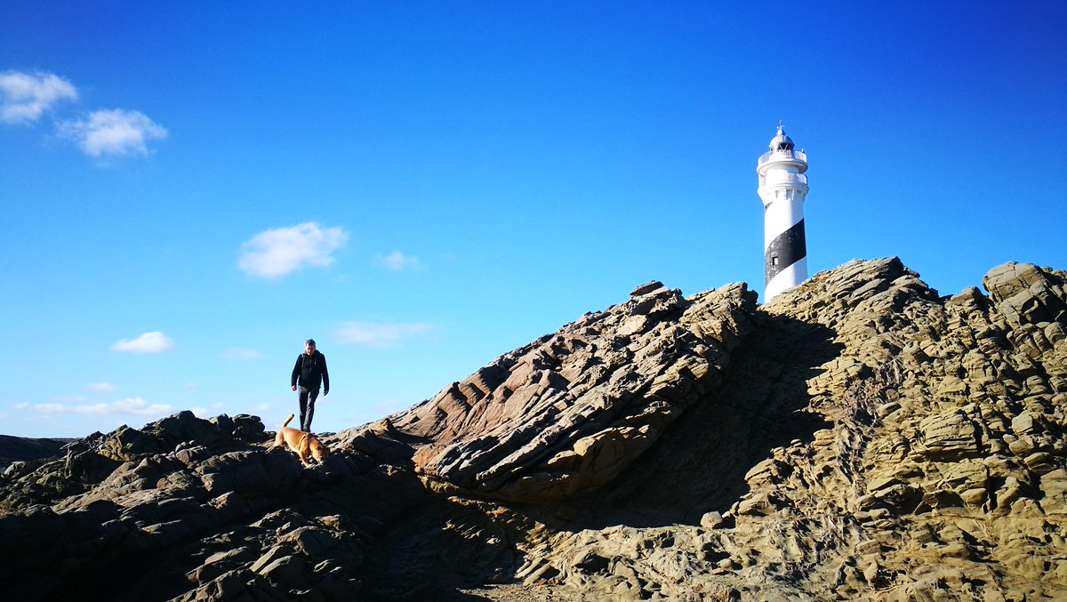 "The classics can console. But not enough." Aquest vers de Derek Walcott ens apunta a una qualitat terapèutica de la literatura. Llegiu. I poseu per escrit els vostres pensaments. Us traureu els dimonis q ens assetjaran durant el confinament.  PESTA. menorca.info/opinion/firmas…