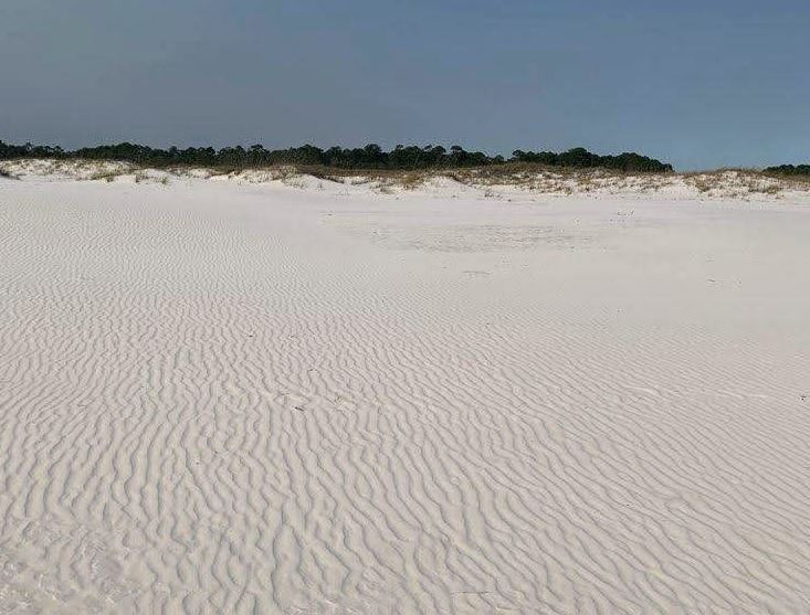 SandyParadise30's tweet image. #SundayFunday Time to explore! 
#Sandart #Sandpattern #Goodtimes #Traveler #Exploring #Beach #Seagrove #SeagroveBeach #SantaRosaBeach #SouthWalton #EmeraldCoast #30a #hey30a #overseerentals #SandyParadise30A #Walking #Running #Relaxing #Explore #Adventure #Beaching