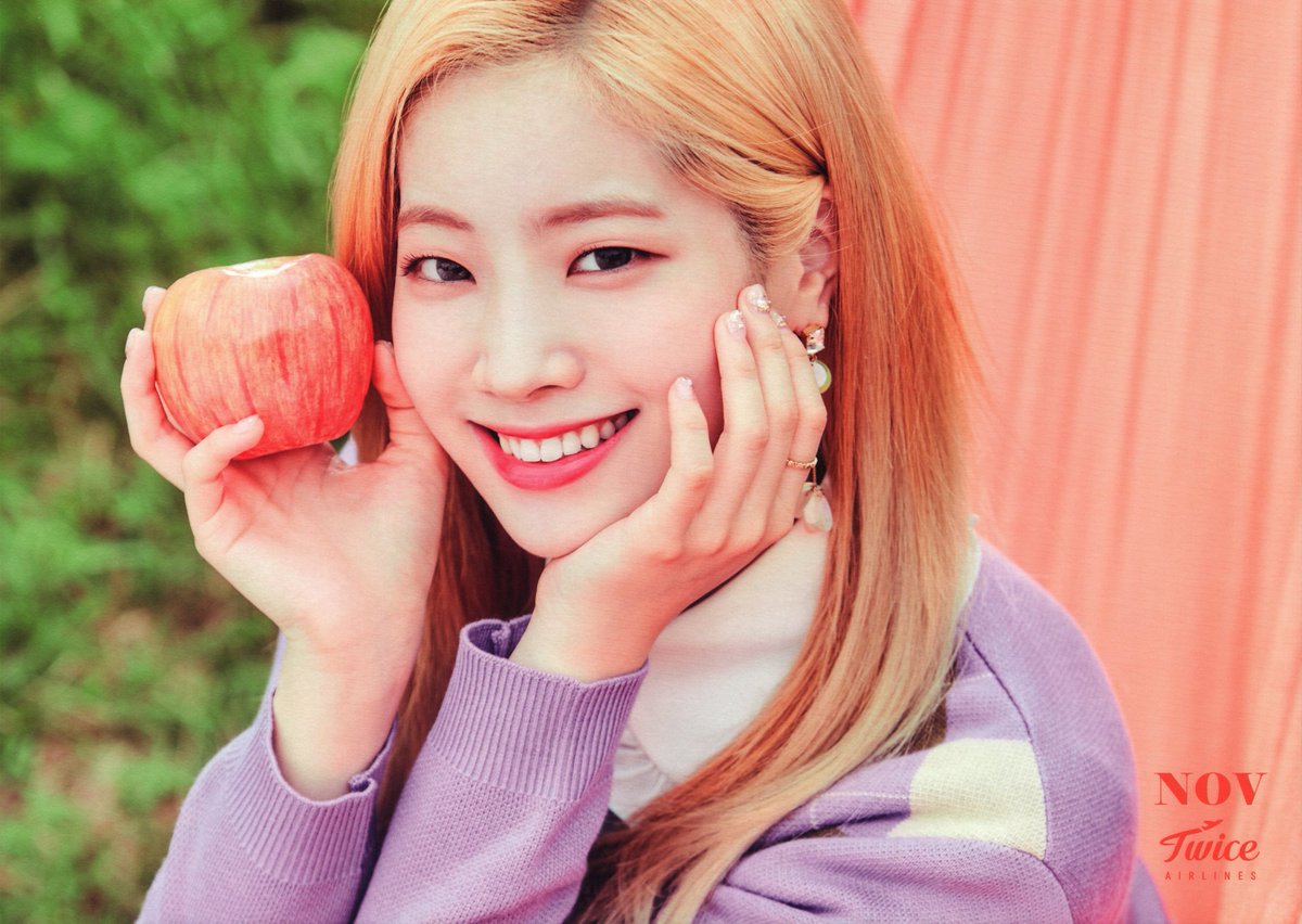 SCAN] TWICE JAPAN SEASON'S GREETINGS 2019 “TWICE AIRLINES” desk