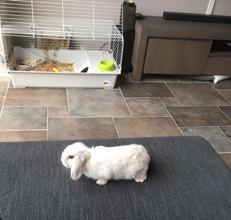 Nikita: "Eerst zou ik pas na het weekend de uitslag krijgen, maar ik had gevraagd of het echt niet eerder kon, omdat ik anders weer heel het weekend met veel spanningen zit."
Lees Nikita's column op: jongborstkanker.nl/columns/de-sca…