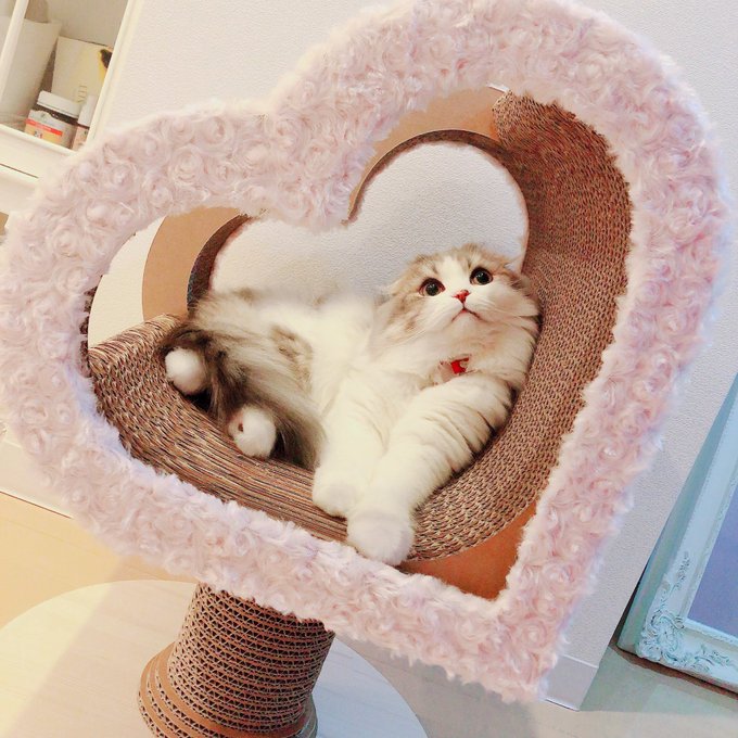 Onosaki1126さんのイラスト一覧