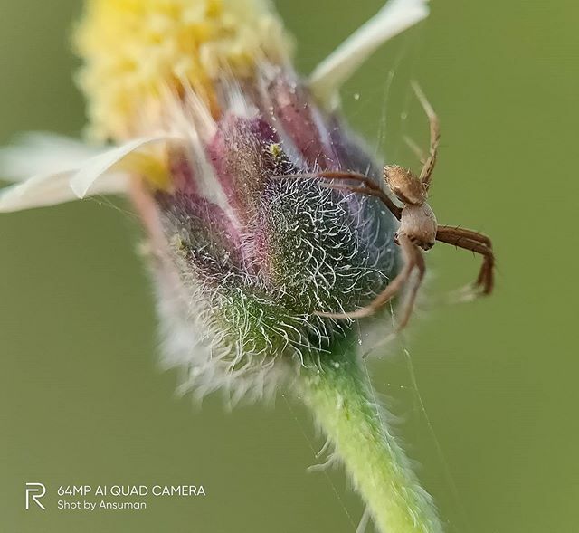 helloansuman's tweet image. Lens: @apexel.in Prosumer Glow v2 Indo Macro lens
Phone: @realmeindia #realmeX2Pro

#bwstyles #igersbnw #instaphoto #bwbeauty #beauty #phonemacro #picoftheday #blackandwhitephotography #nero #beautiful #picofday #photograph #photography #bwoftheday #bwst… ift.tt/2wTMHvk