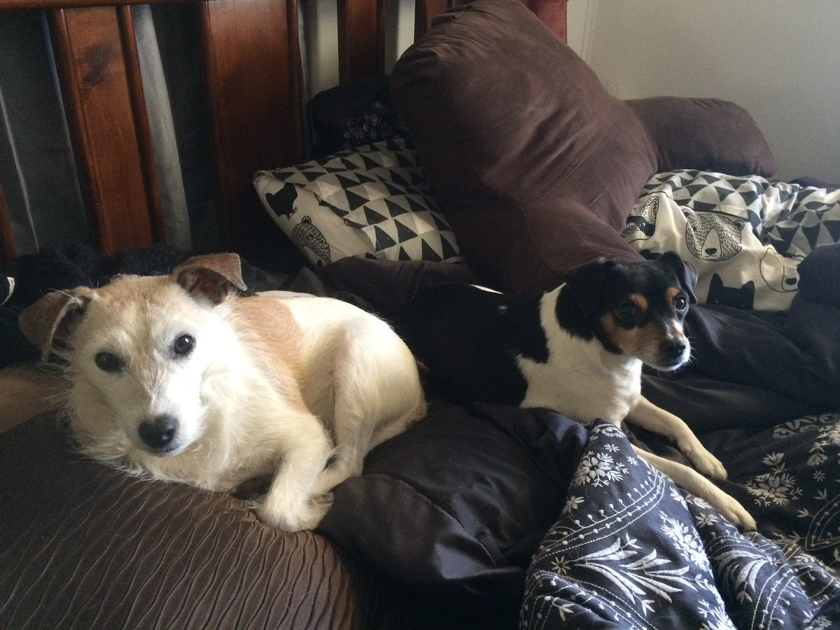 Suzie Feodoroff tweet media