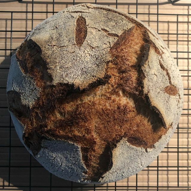 spanielhunter's tweet image. Sunday morning after a Saturday of virtually nothing #sourdough #breadbaking #sundayvibes #bread #itooksaturdayoff #baking ift.tt/2WgCBiO
