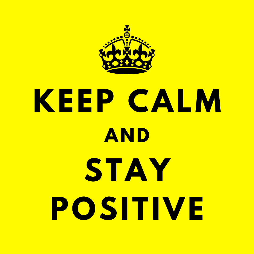 Amy Dudbridge Website Design tweet media