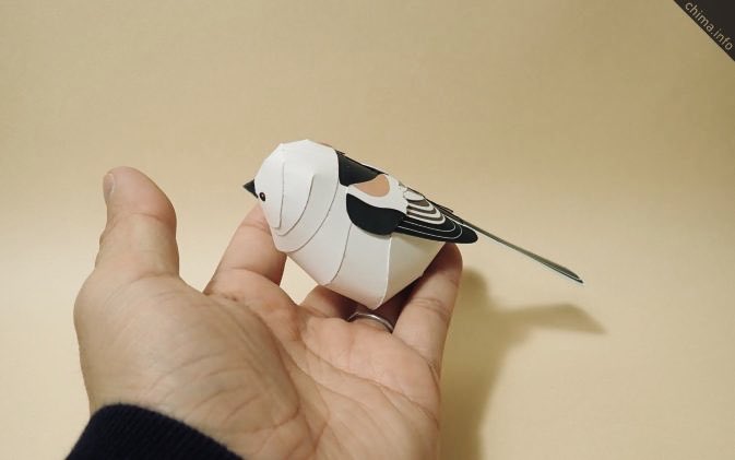 ペーパークラフト シマエナガ 鳥 クラフトパンチ しまえなが 弱く