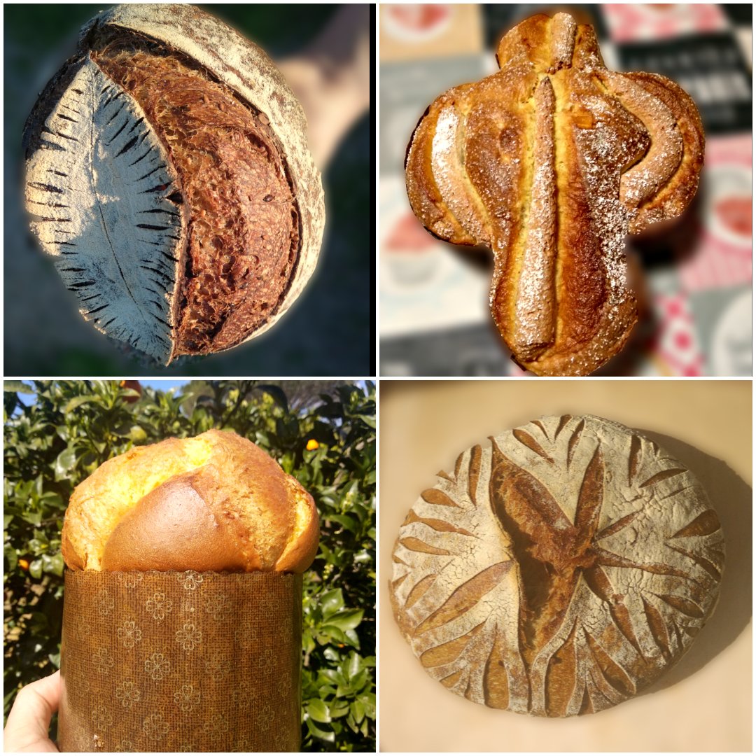 mailditesta's tweet photo. Ho sempre le mani in pasta! Ecco le ultime creazioni: due tipi di pane, una colomba e una veneziana.
#COOKINGWITHKNAM https://t.co/FVGjph3aPJ