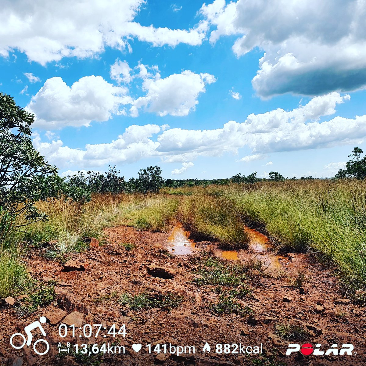 BLeXAFer1's tweet photo. Hobby Park Sundays
#HobbyPark #Noordheuwel #Rangeview #Krugersdorp #Westrand #JoziCyclingClub #ButDidYouRide #KeepTheRubberSideDown #Technical #SingleTrack #JeepTrack #MountainBiking #Strava #UCI #InstaGood #Sunday #SundayChill #SundayFunday #Polar #PolarV800 https://t.co/JVTjNzC1hA
