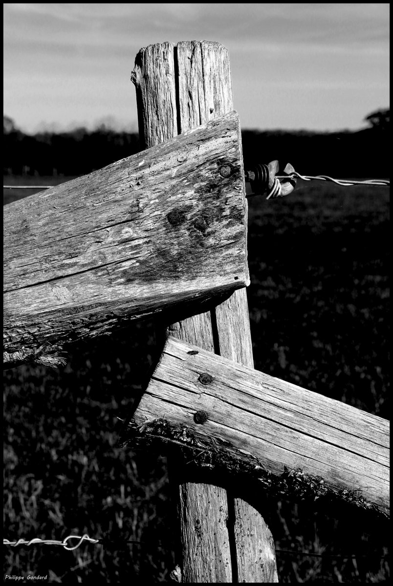 PhilGondard's tweet photo. Challes (Sarthe) #challes #sarthe #lasarthe #sarthetourisme #labellesarthe #labelsarthe #maine #paysdelaloire #paysage #nature #campagne #rural #ruralité #gondard #route #road #OnTheRoadAgain #noiretblanc #pieux #clôture #paysage #blackandwhite #vintage #graphique #contraste https://t.co/GK07o38mdF
