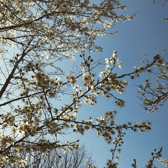 engestudio's tweet photo. #frühling https://t.co/S6Mf4ccebe https://t.co/FpGawD5lCu