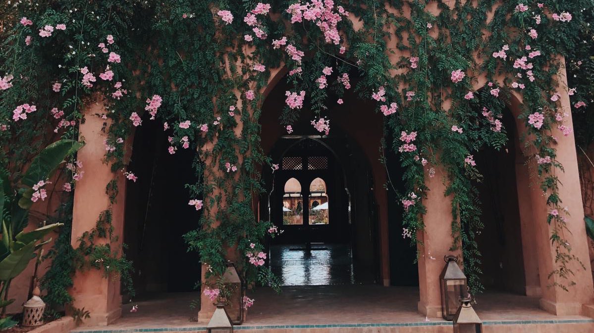 What do you think about our lush #entrance to Palais Aziza and Spa in #Marrakech?