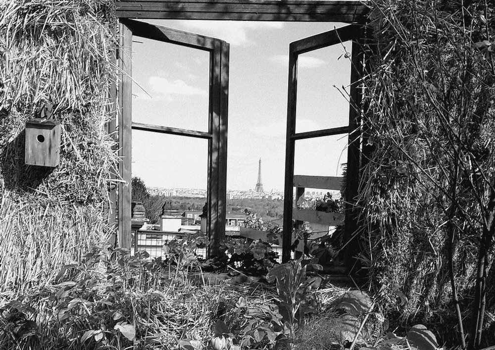 🫧 Laurent Potelle 🐝 🔻 tweet media