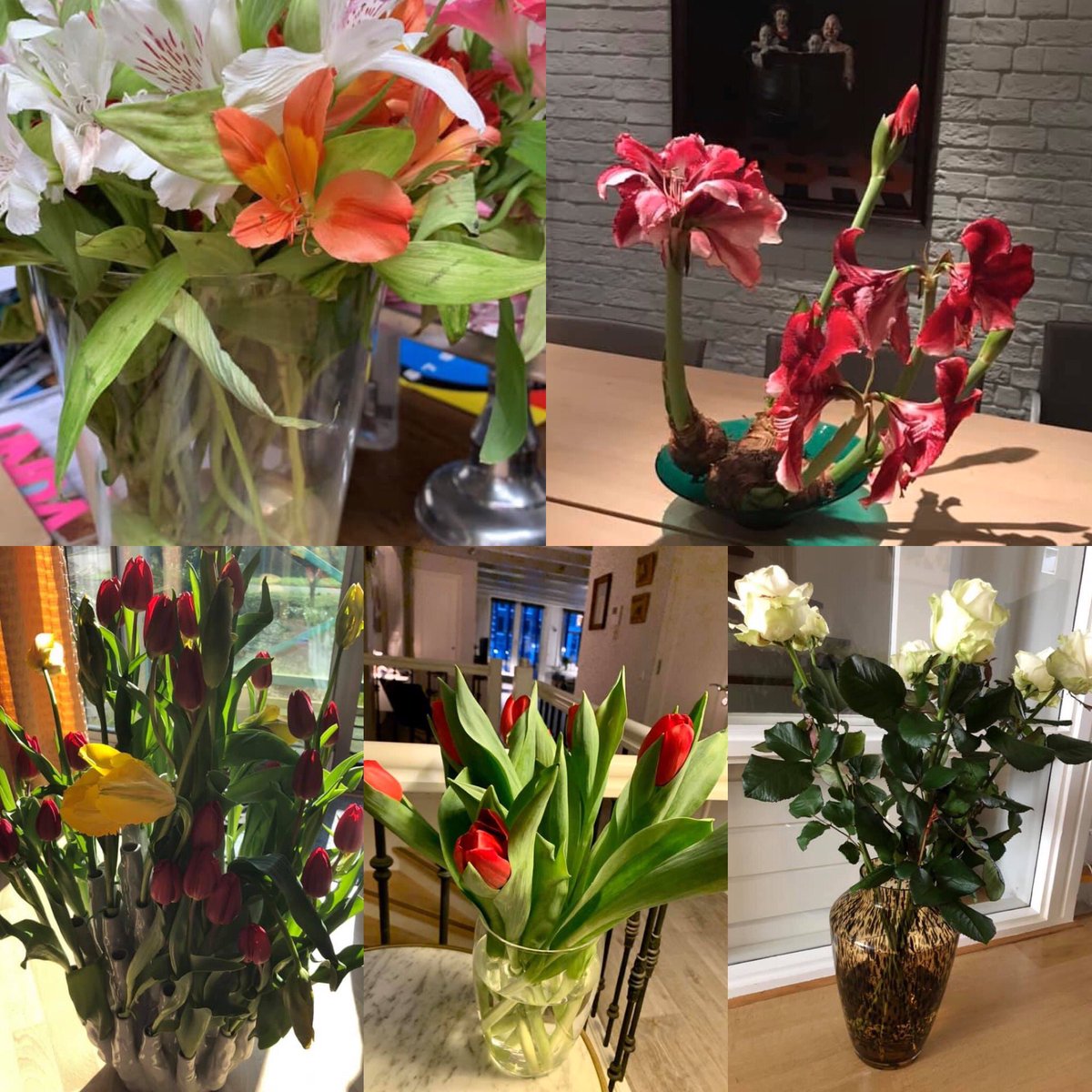 ArneWeverling's tweet photo. Na mijn oproep om bloemen te kopen ipv wc-papier krijg ik uit het hele land foto’s van mooie bossen toegestuurd! Dank! Ga zo door! Laat onze Nederlandse kwekers niet in de steek! https://t.co/to2IMN9Fkq