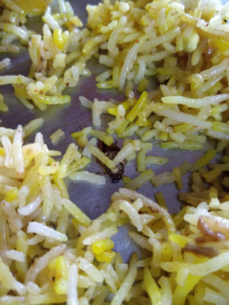 dibtheknight's tweet photo. What an extravagant cockroach biriyani made by @chinagaon and delivered by @swiggy_in. Upon registering the complaint, @swiggy_in offering coupon of Rs. 💯... https://t.co/eI1s1G9xIq