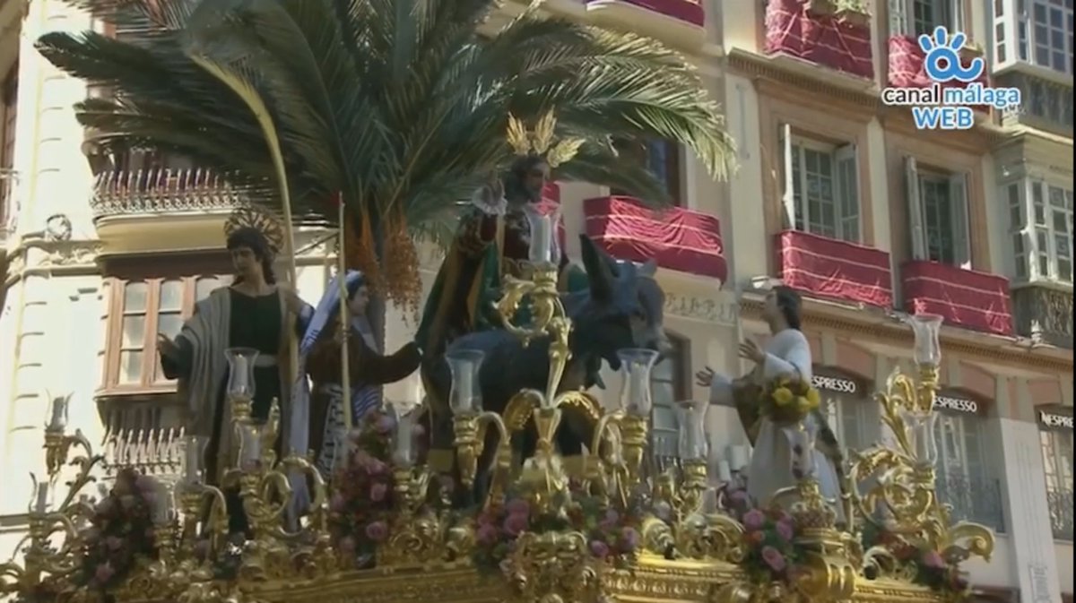 Canal Málaga RTV tweet media