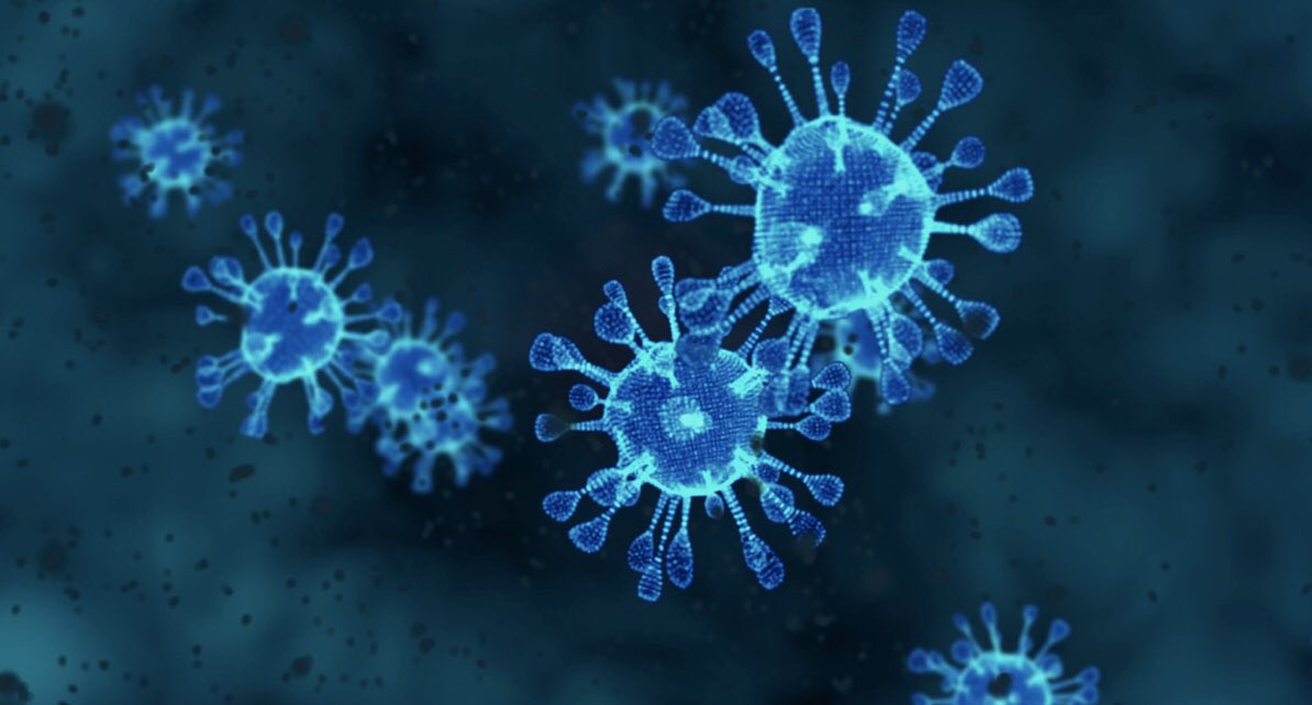 Volg de adviezen van de overheid op en denk niet dat deze adviezen zomaar gegeven worden. 

Degene die zich wel gezond en sterk genoeg voelen om he #Coronavirusnl  te overleven hebben WEl de verantwoordelijkheid voor alle anderen die helaas niet gezond en sterk zijn !!