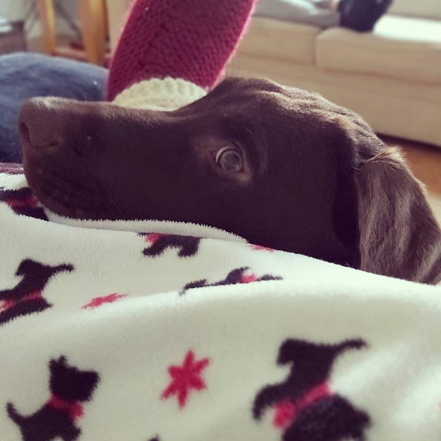 Snuggling! ift.tt/2xFI0Wi