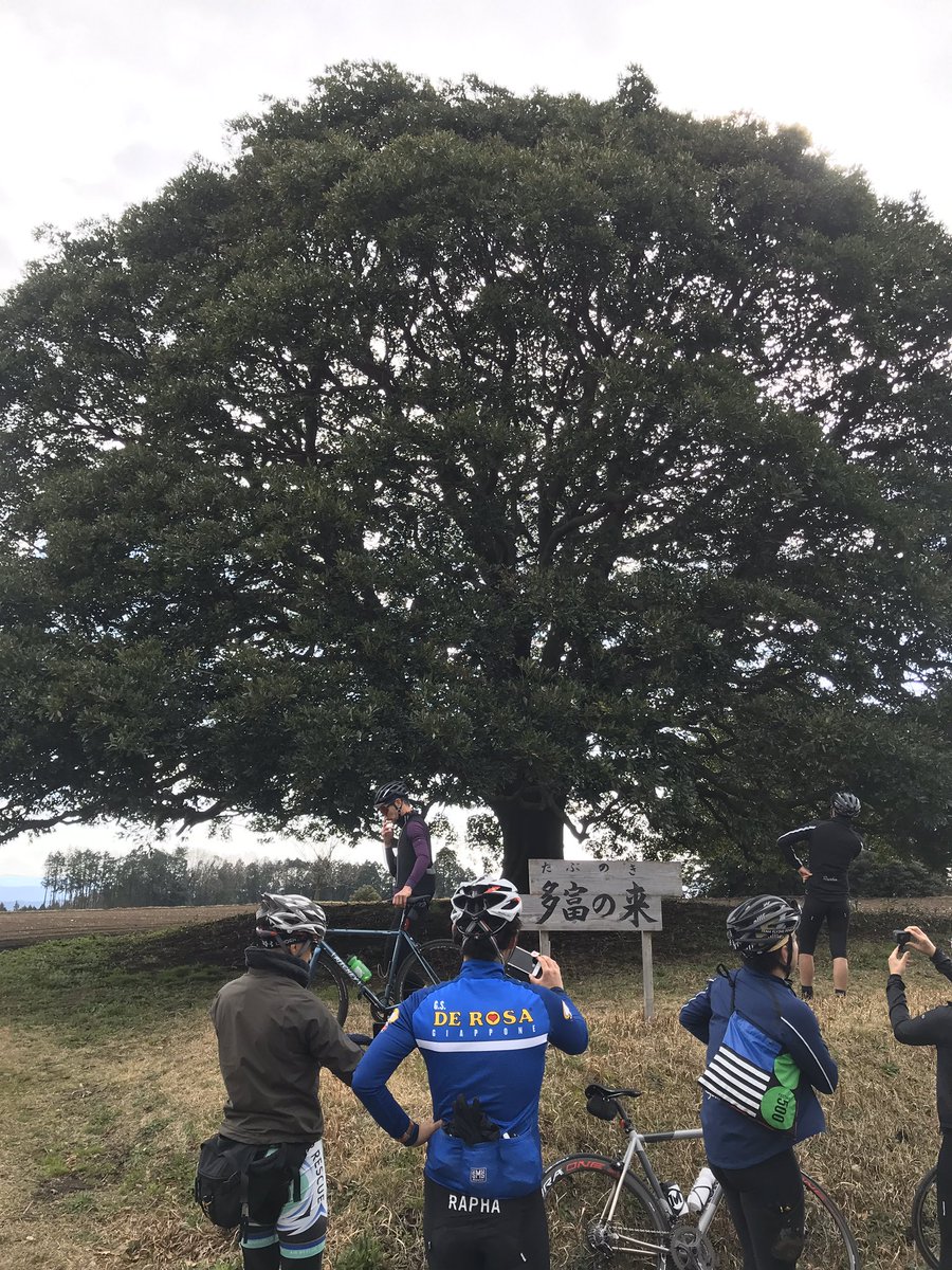 radaha's tweet photo. きょう参加したラファのライドは阿蘇や西原村、益城などを巡る60kmちょい🚲
熊本地震からの復興が、進み方はそれぞれだけど確かに見て取れた。
野焼きが見られたのもラッキー🔥だし、そもそもこのご時世に決行されたことがありがたい！ 
#RaphaCaravan
#FUKKOツイート旅 https://t.co/ElbymlxLvU