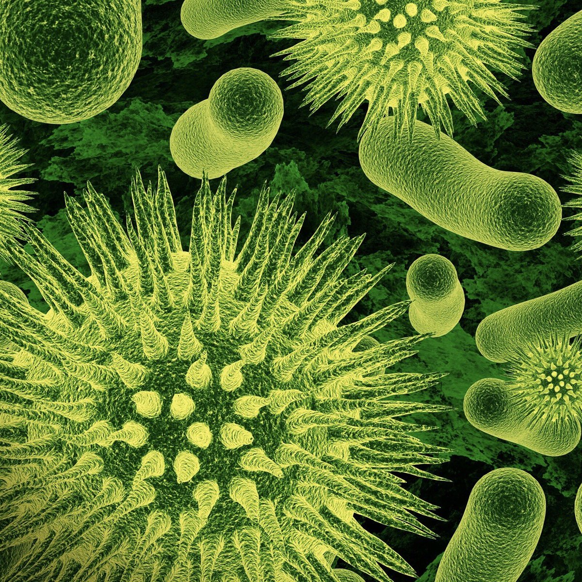 Pharma_ANEPF's tweet image. #CORONAVIRUS 🦠 : les dernières infos

▪️ Les facultés de pharmacie
▪️ Les attitudes à adopter
▪️ La mobilisation étudiante

Les étudiants en #pharmacie se mobilisent face à l’épidémie.

⬇️ Tous les threads sur le #COVID_19 !