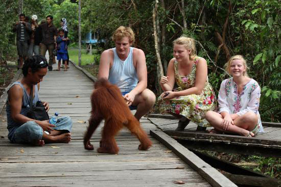 orangutans's tweet photo. @CamGoodhead Camp Leakey and the associated Orangutan Care Center & Quarantine is another problem, where management refuse to adhere to international guidelines on great ape tourism.
#TravelResponsibly #PutOrangutansFirst https://t.co/hRY2TTgO0L