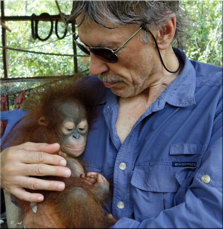 orangutans's tweet photo. @CamGoodhead Camp Leakey and the associated Orangutan Care Center & Quarantine is another problem, where management refuse to adhere to international guidelines on great ape tourism.
#TravelResponsibly #PutOrangutansFirst https://t.co/hRY2TTgO0L