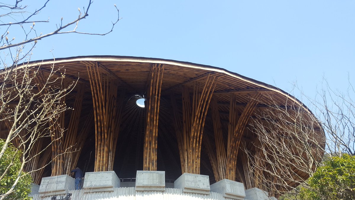 wenzhe Weng (@kjzlmgs) on Twitter photo 