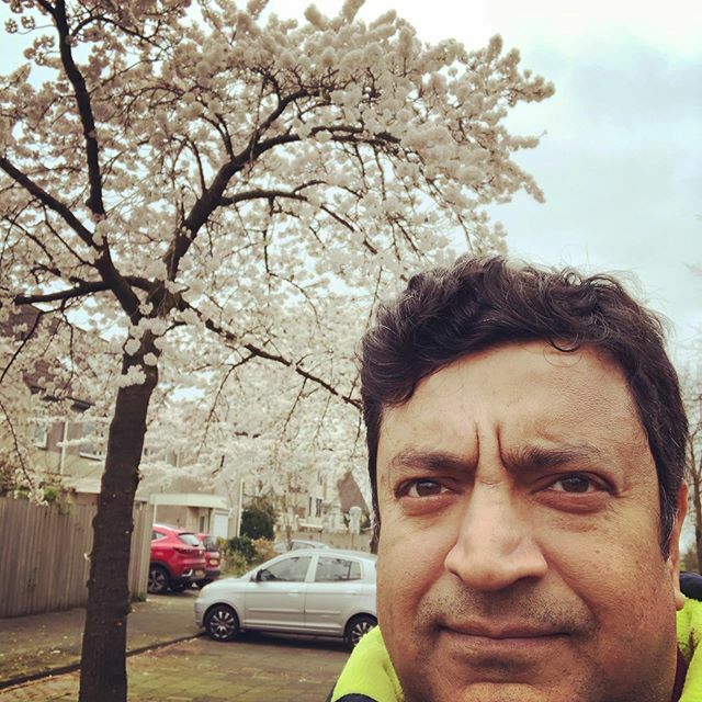 Spring is almost here. Cherry Blossom trees are in full bloom on our side street. ift.tt/39Rp9FL