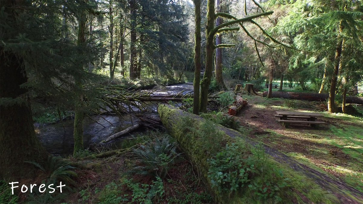 EngineerEarly's tweet photo. All together now...Breathe in (1,2,3) and breathe out (1,2,3) and repeat…Take a break from the news and enjoy the beauty and wonder of some of Earth’s #habitats...Do you have a favorite? #engineerearly #netde #stem https://t.co/PsaNHk79li
