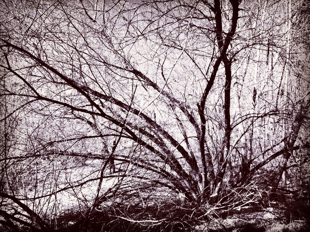 Przemek75115793's tweet photo. A walk in the woods helps to find the right balance and perspective. #relax #woods #notomadness #nopeoplenoproblem https://t.co/wLIZrXr93o