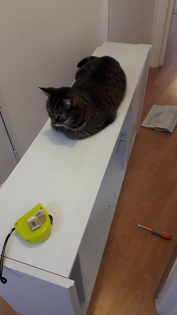 drkeverett's tweet image. Thank goodness for IKEA! No football to watch, my own 7 a side cancelled, but at least I can entertain myself making furniture, with the cats help. #FlatPackFun