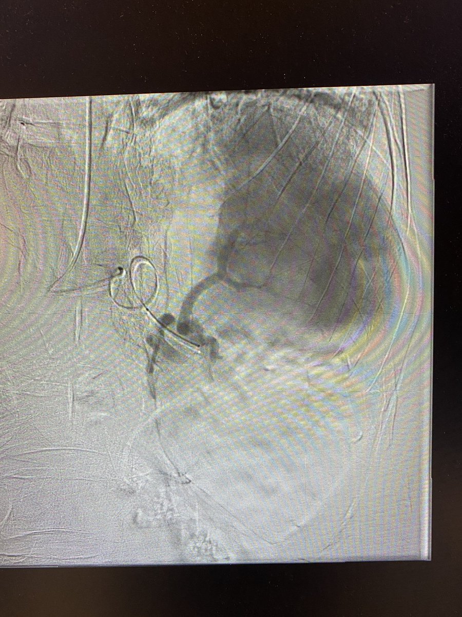 Conor McKee tweet media