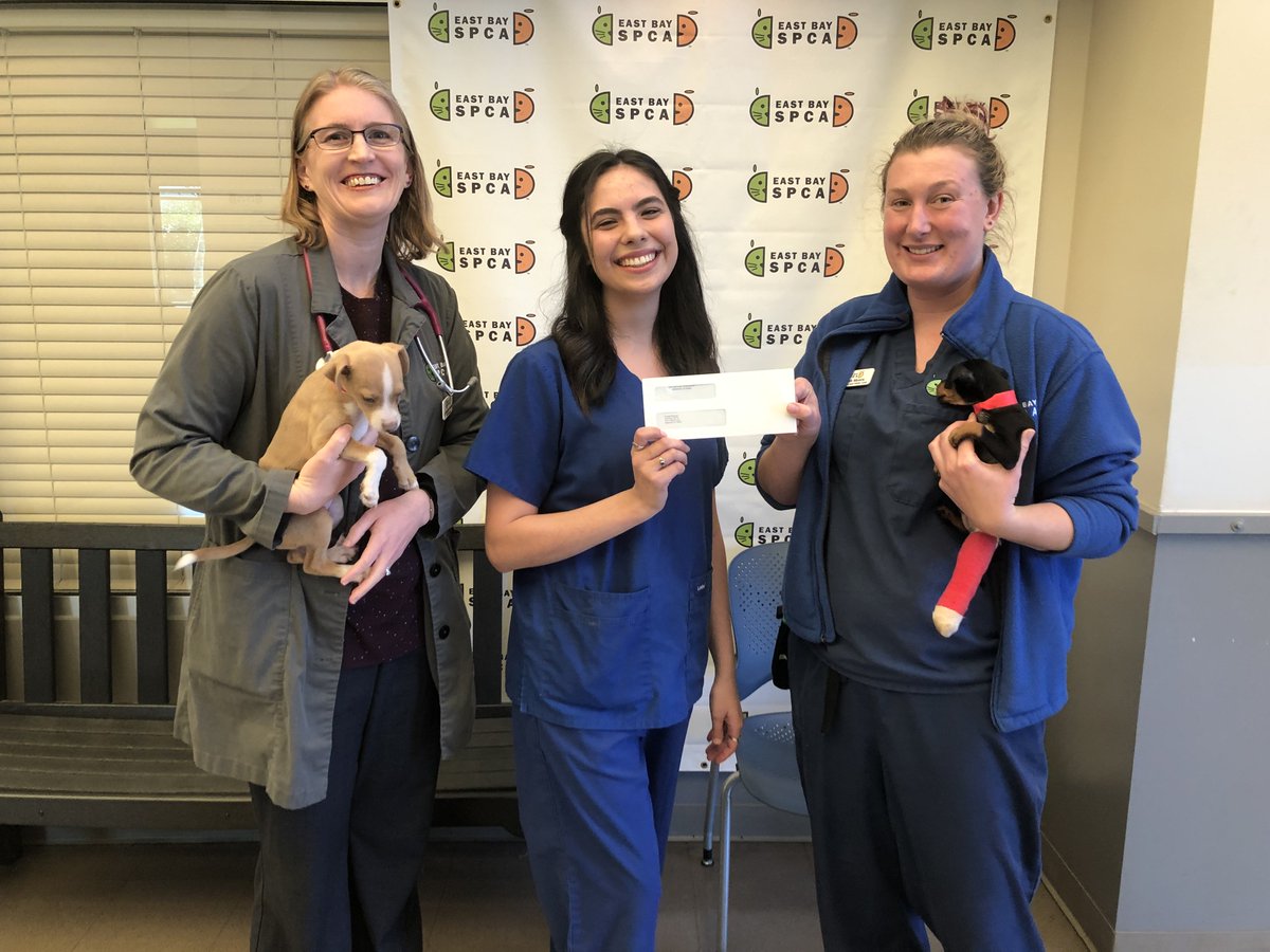 VipPetCare's tweet image. Our Rockridge (Oakland, CA) Wellness Center partnered with the @EastBaySPCA for our buy one, give one campaign. Thank you to everyone who helped us reach our company goal to protect 50,000 pets nationwide!
#VIPPetcare #HealthyHappySafe #eastbayspca