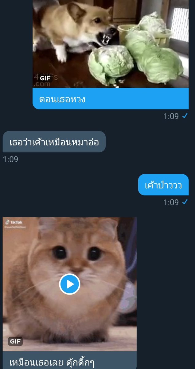 ขิงเธอคนนั้น💜 tweet media