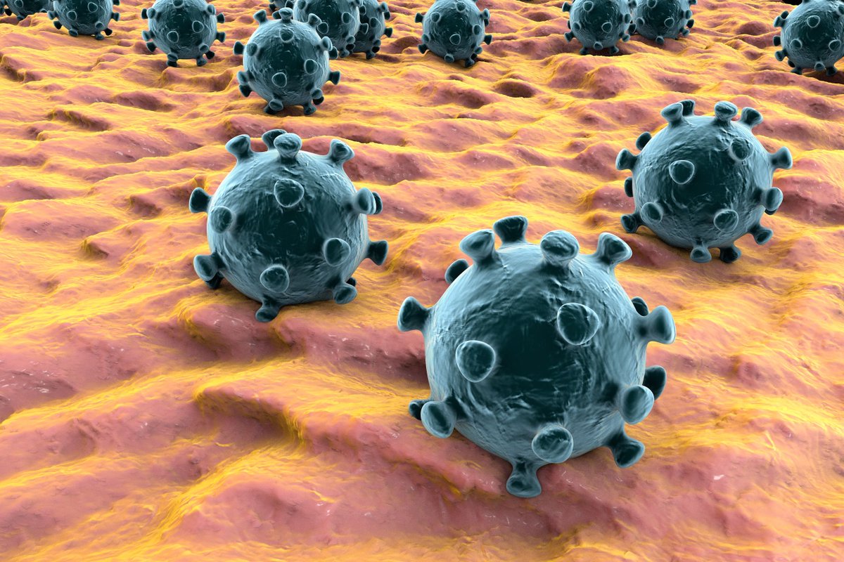 Het kabinet heeft zojuist aangekondigd dat alle scholen en kinderdagverblijven in Nederland vanaf morgen gesloten zijn. Dit betekent dat ook in #Twente de scholen dicht zullen blijven. Meer info over de aanvullende maatregelen: bit.ly/38NeSsY #coronavirusnl