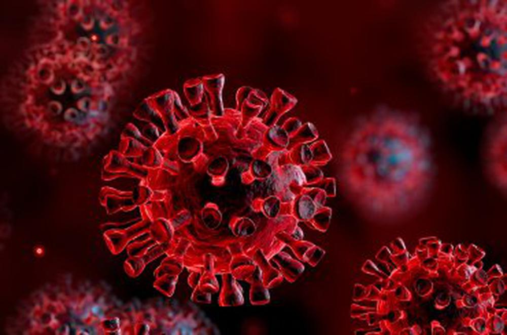 ⚠️ Verzoek aan diereigenaren i.v.m. coronavirus ⚠️
diergeneeskunde.nl/nieuws/2020/03…