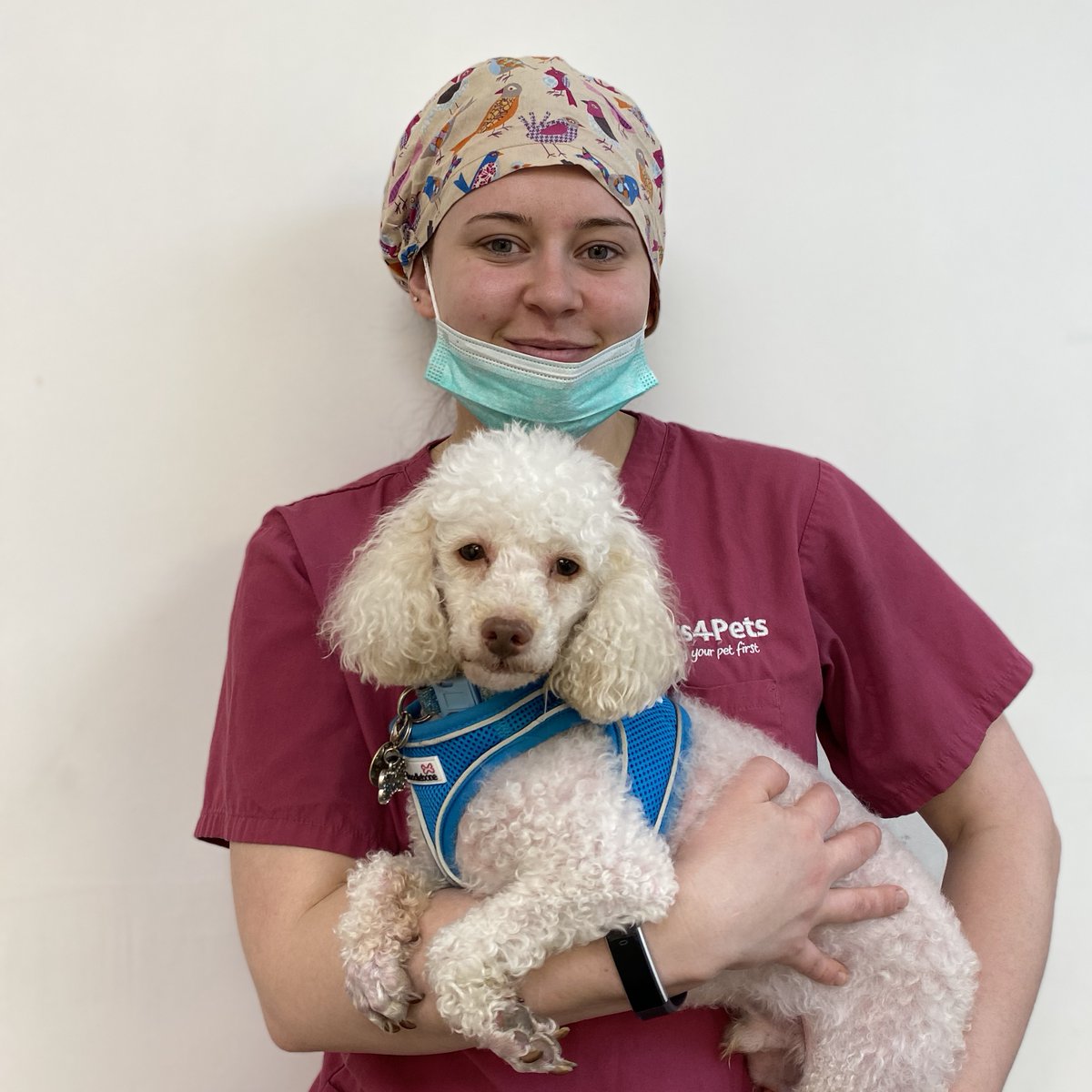 Riley having a cuddle with RVN Chelsea! He came in for some dental treatment last week, and he is currently being cared for by West Yorkshire Dog Rescue!

🐶🐾

#barnsleyvets4pets #vets4pets