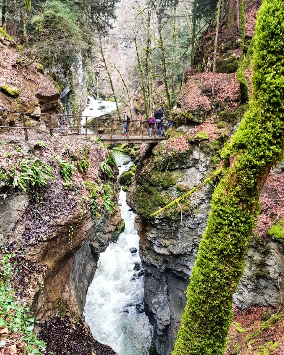 Sattva.Institute tweet media